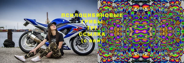 экстази Дмитриев
