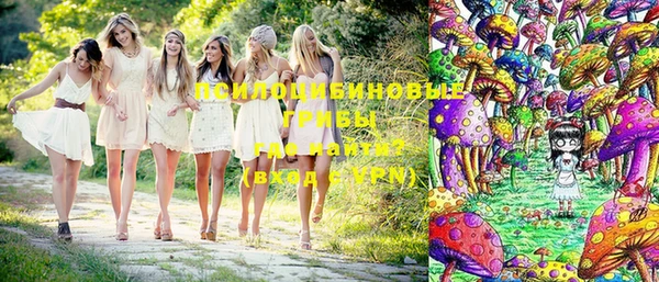 герыч Дмитров