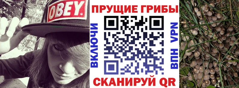 Псилоцибиновые грибы мицелий  Купить закладки  Жирновск 